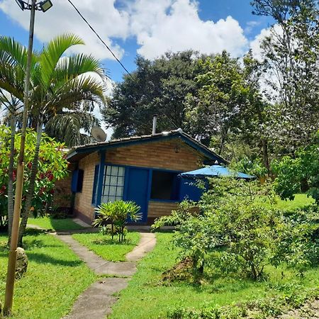 Pousada Balneario Cachoeira Do Moinho Belo Vale Eksteriør billede
