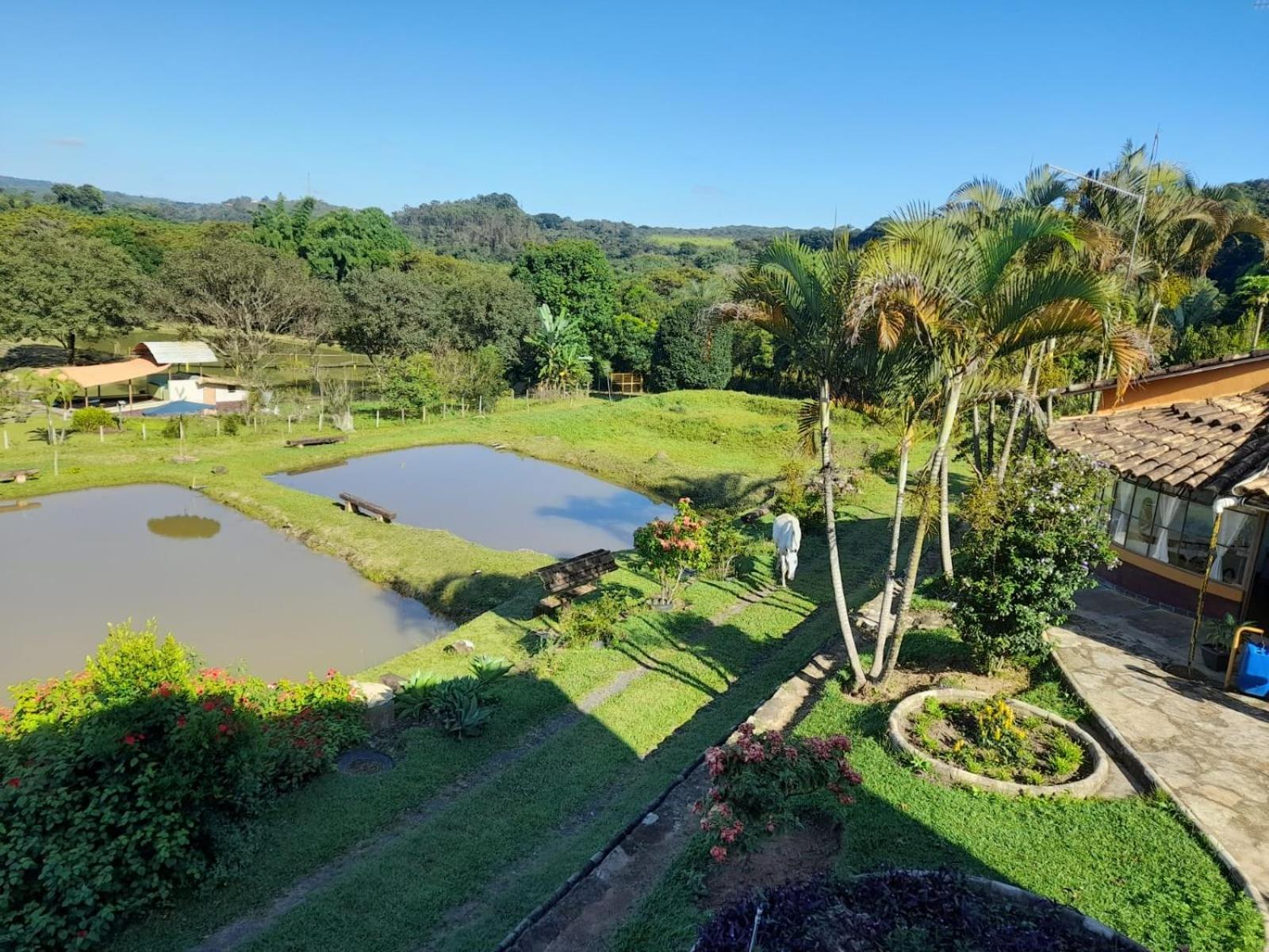 Pousada Balneario Cachoeira Do Moinho Belo Vale Eksteriør billede